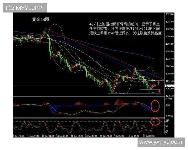 独家解析成都篮球队与其他球队比赛经验的深度对比与启示