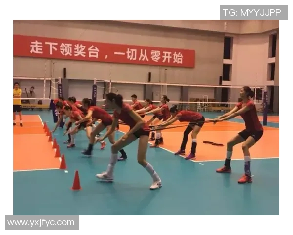 深圳排球队的奋斗与荣耀：一段排球精神的真实纪实之旅